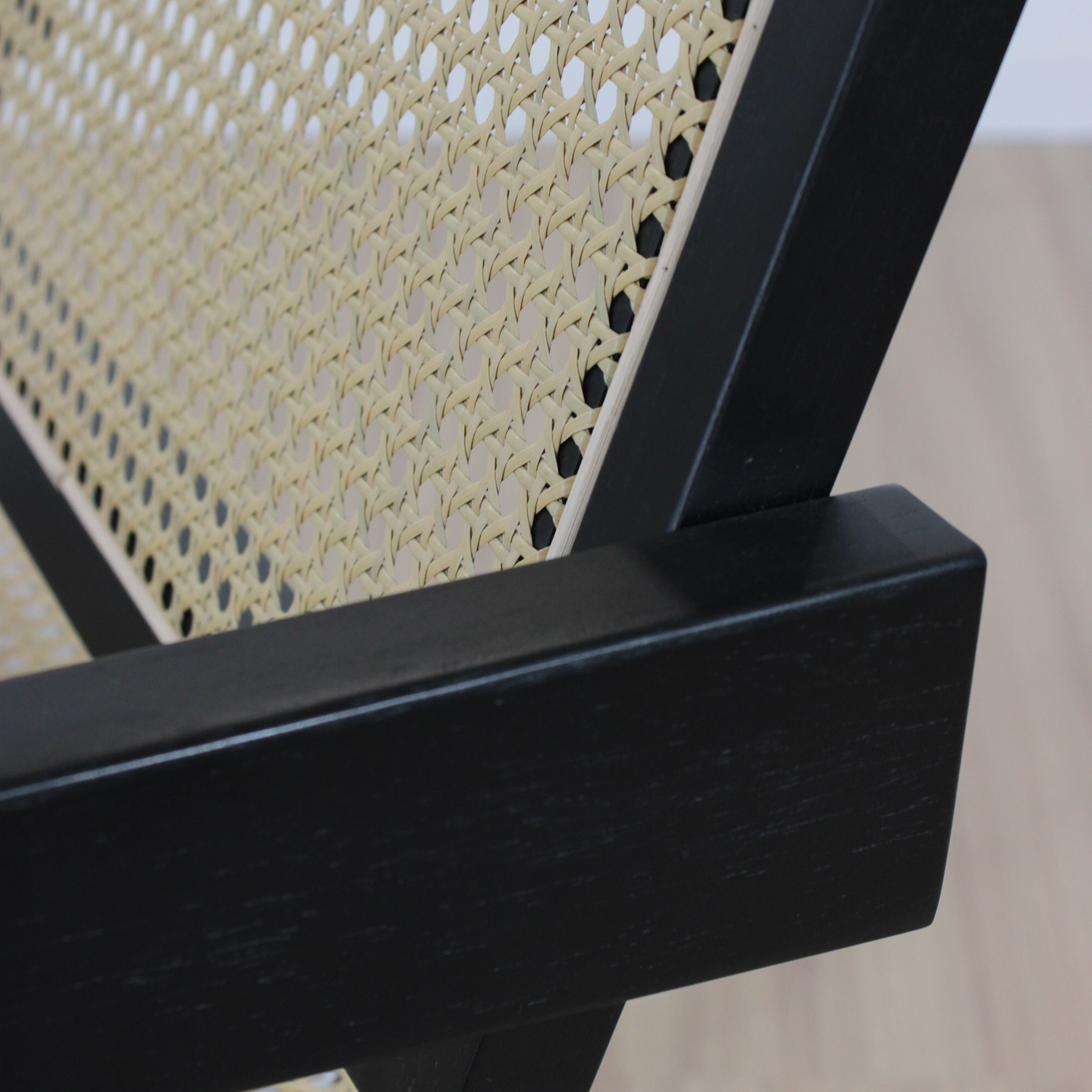 JEANNERET NEGRA-04